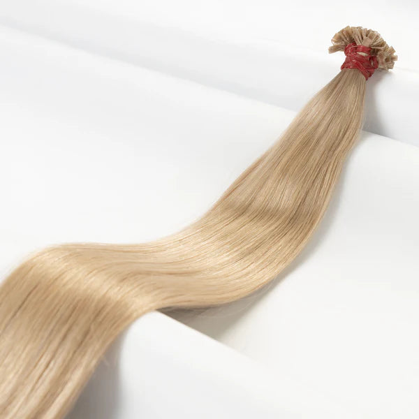 Bondings-Extensions
