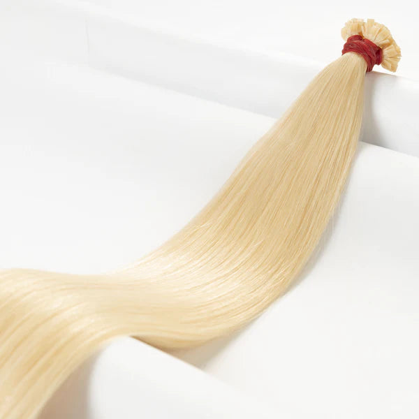 Bondings-Extensions