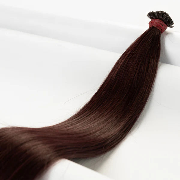 Bondings-Extensions