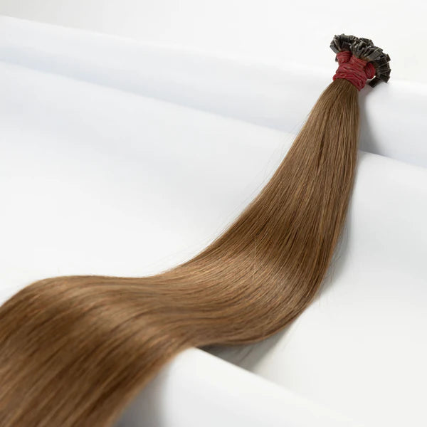 Bondings-Extensions