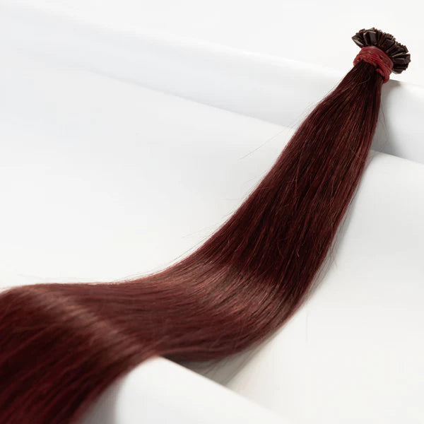 Bondings-Extensions