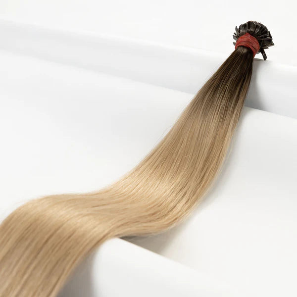 Bondings-Extensions